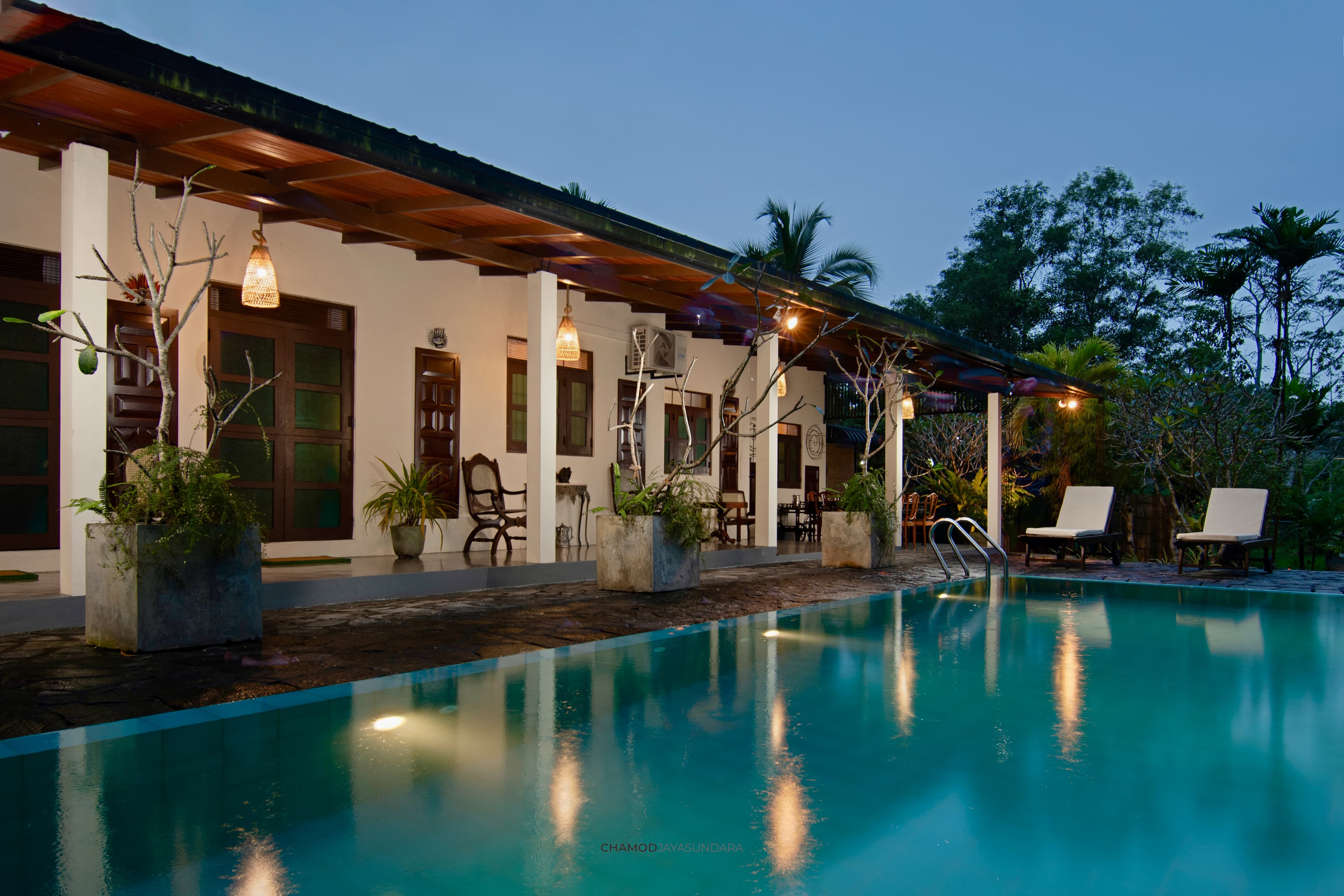 Legacy by Nelson Fernando